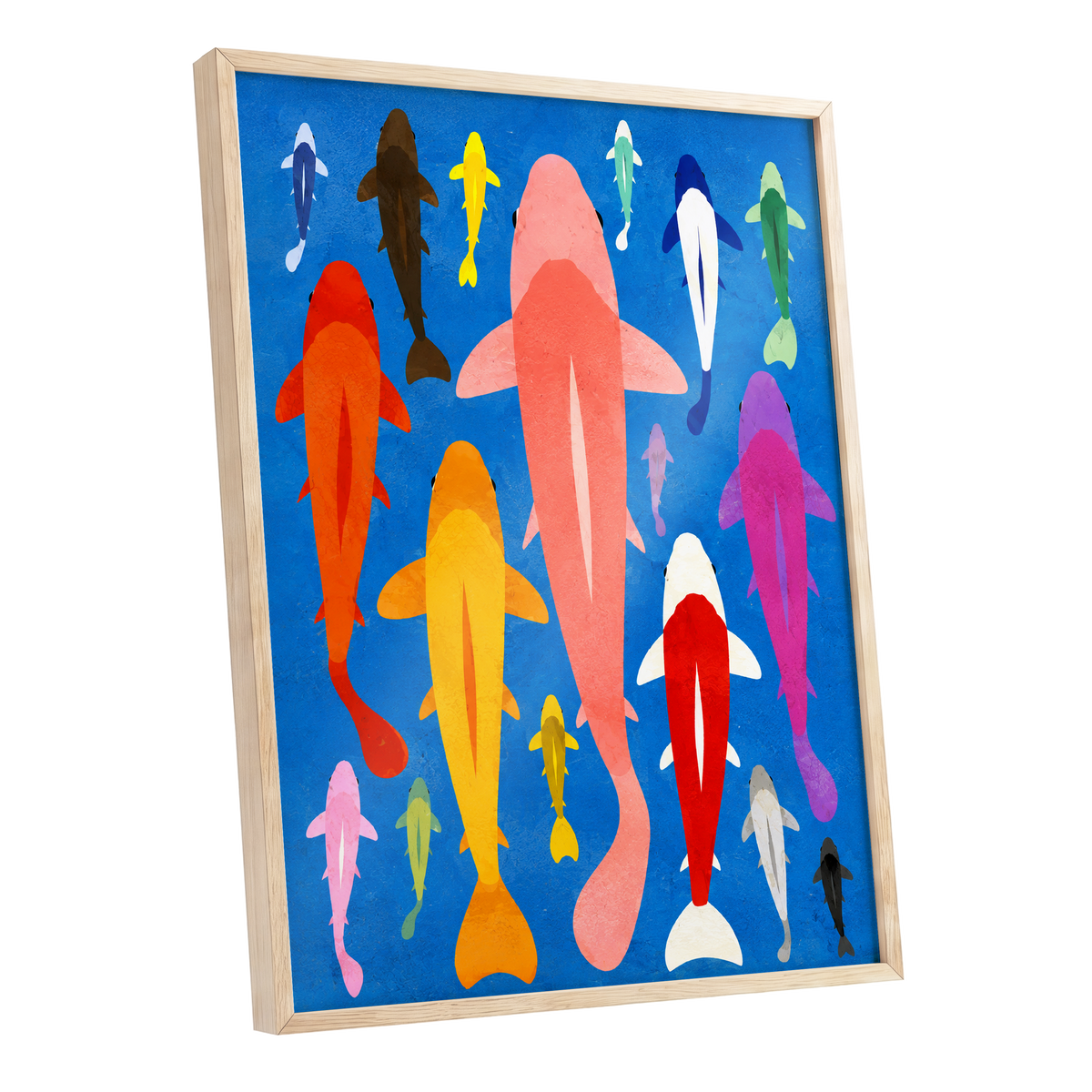 Chromatic Koi Parade, blue, pink, orange nature wall art shown as a oak framed poster wall art print