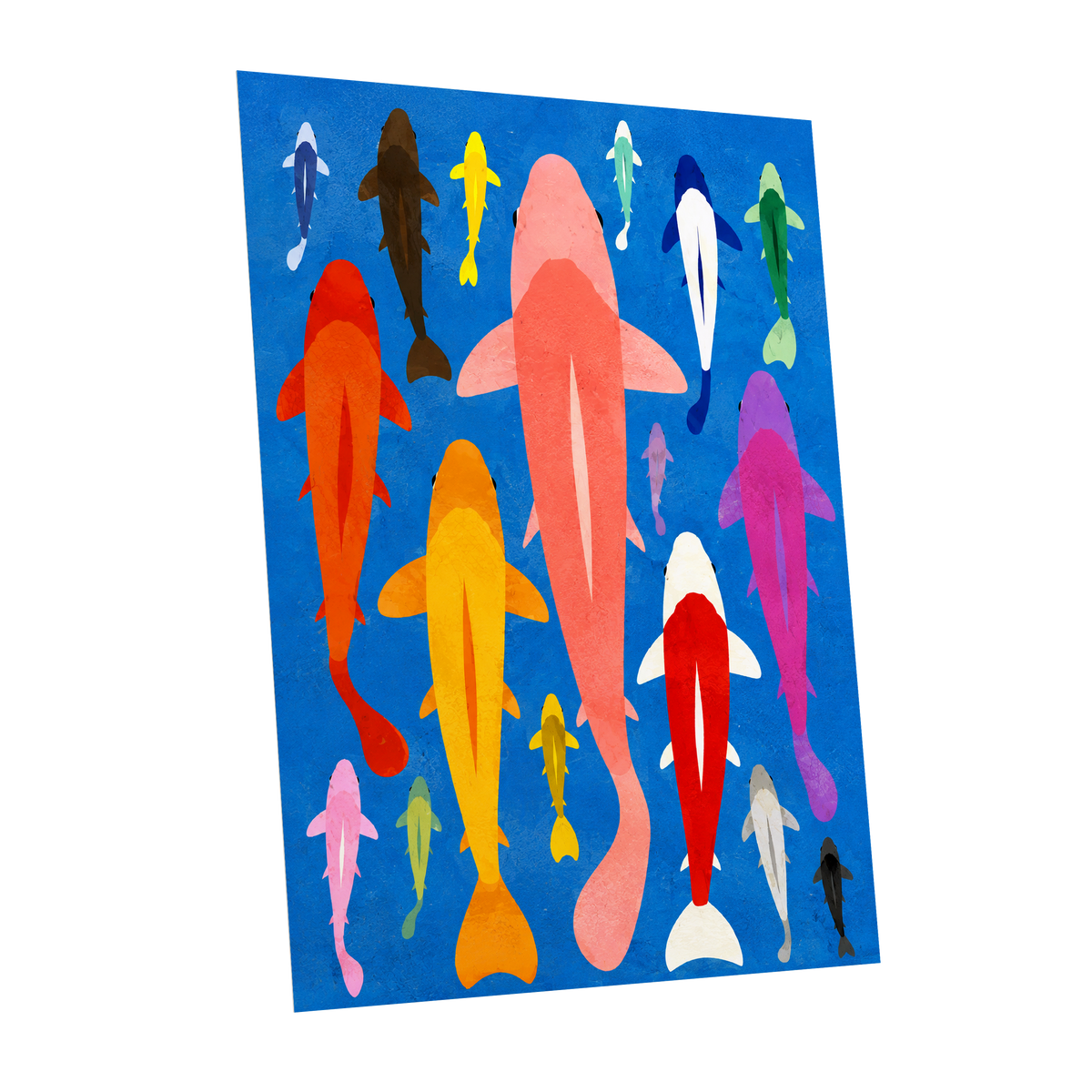 Chromatic Koi Parade, blue, pink, orange nature wall art shown as a unframed poster wall art print