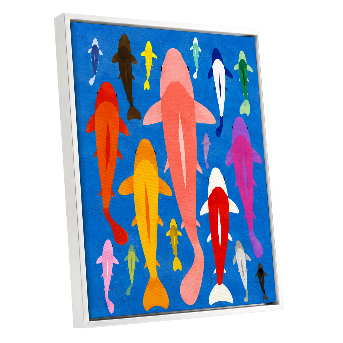 Chromatic Koi Parade, blue, pink, orange nature wall art shown as a white framed canvas wall art