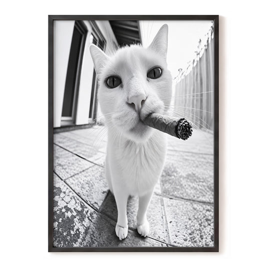 Cigar Cat Close-Up, white, black, gray nature wall art, front artwork view