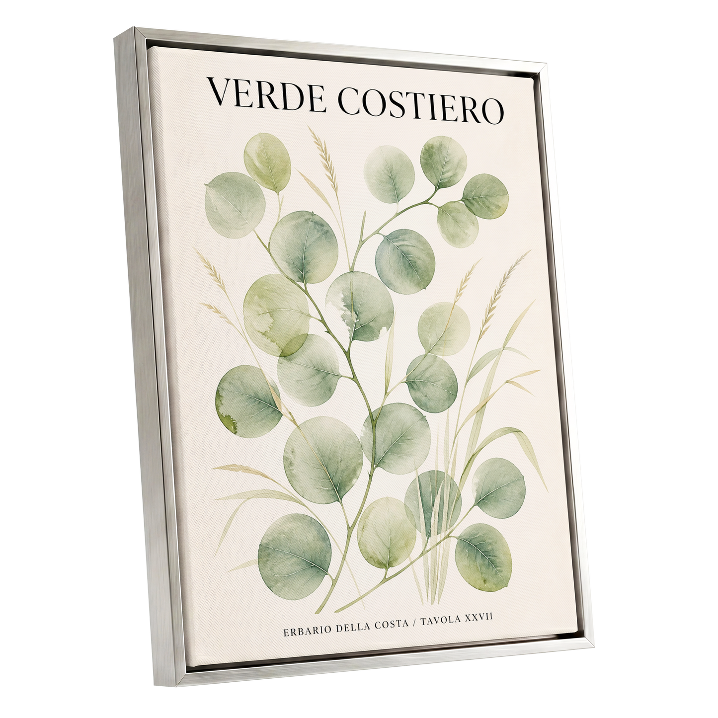 Coastal Green Study, green, beige nature wall art shown as a silver framed canvas wall art