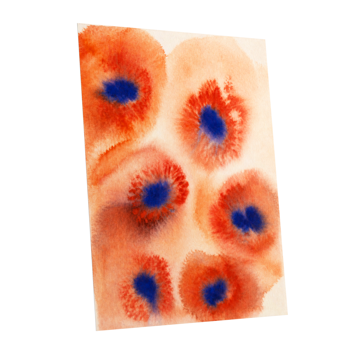 Cobalt Bloom Drift, orange, red, blue floral wall art shown as a unframed poster wall art print