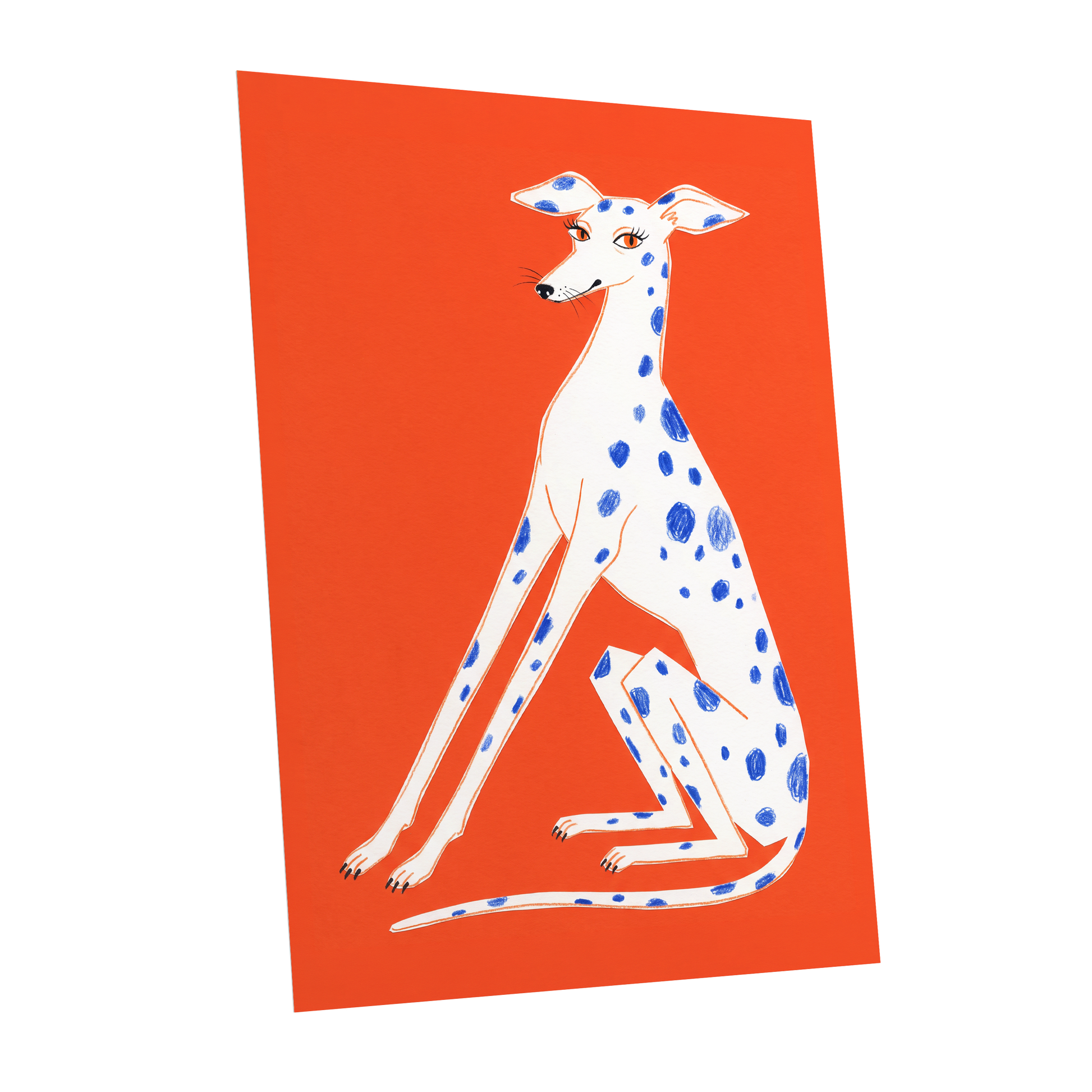 Cobalt Spot Greyhound, orange, white, blue nature wall art shown as a unframed poster wall art print
