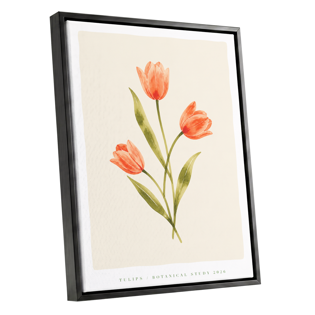 Coral Tulip Study, orange, green, beige floral wall art shown as a black framed canvas wall art