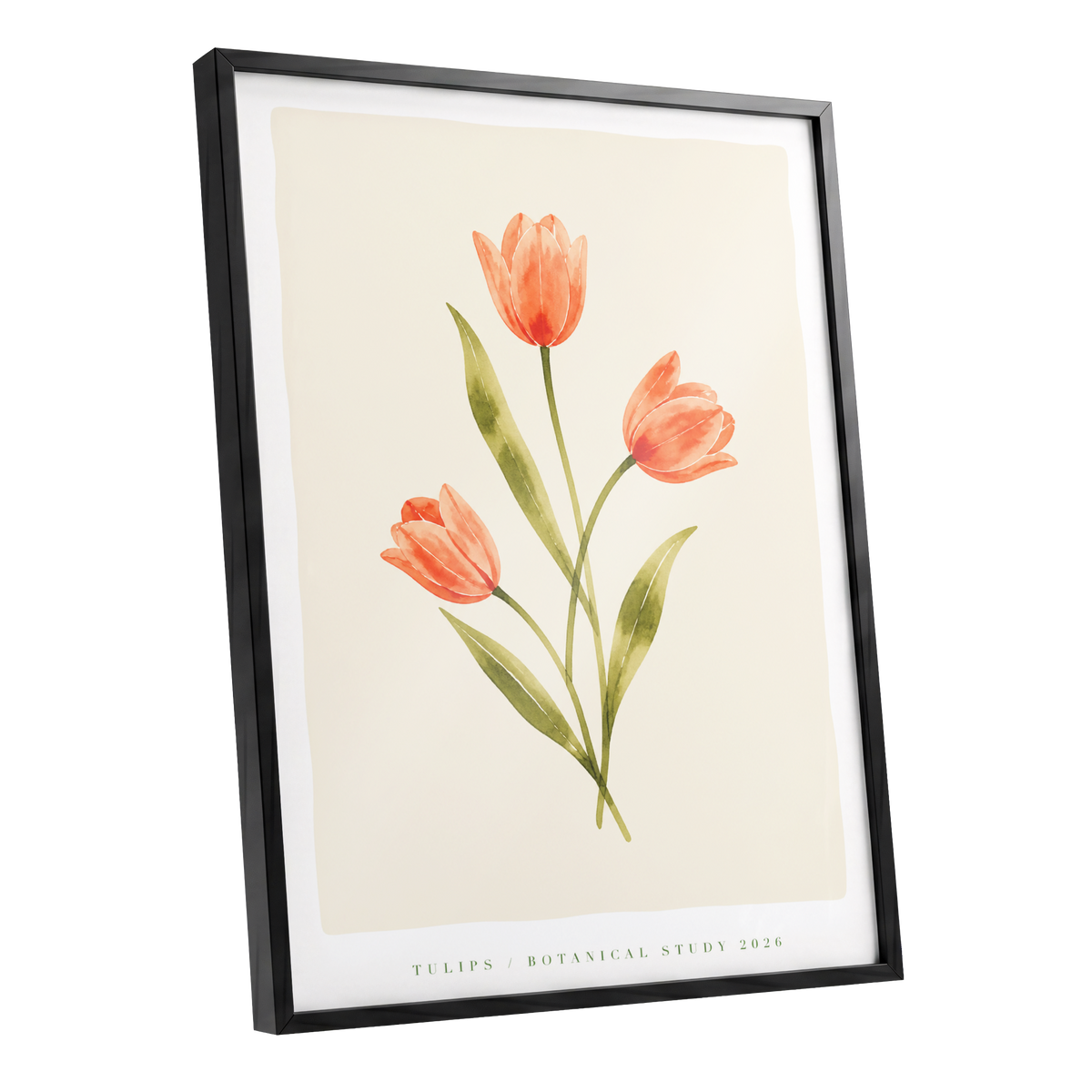 Coral Tulip Study, orange, green, beige floral wall art shown as a black framed poster wall art print