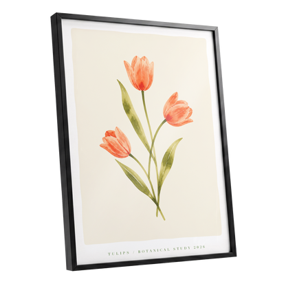 Coral Tulip Study, orange, green, beige floral wall art shown as a black framed poster wall art print