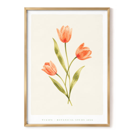 Coral Tulip Study, orange, green, beige floral wall art, front artwork view