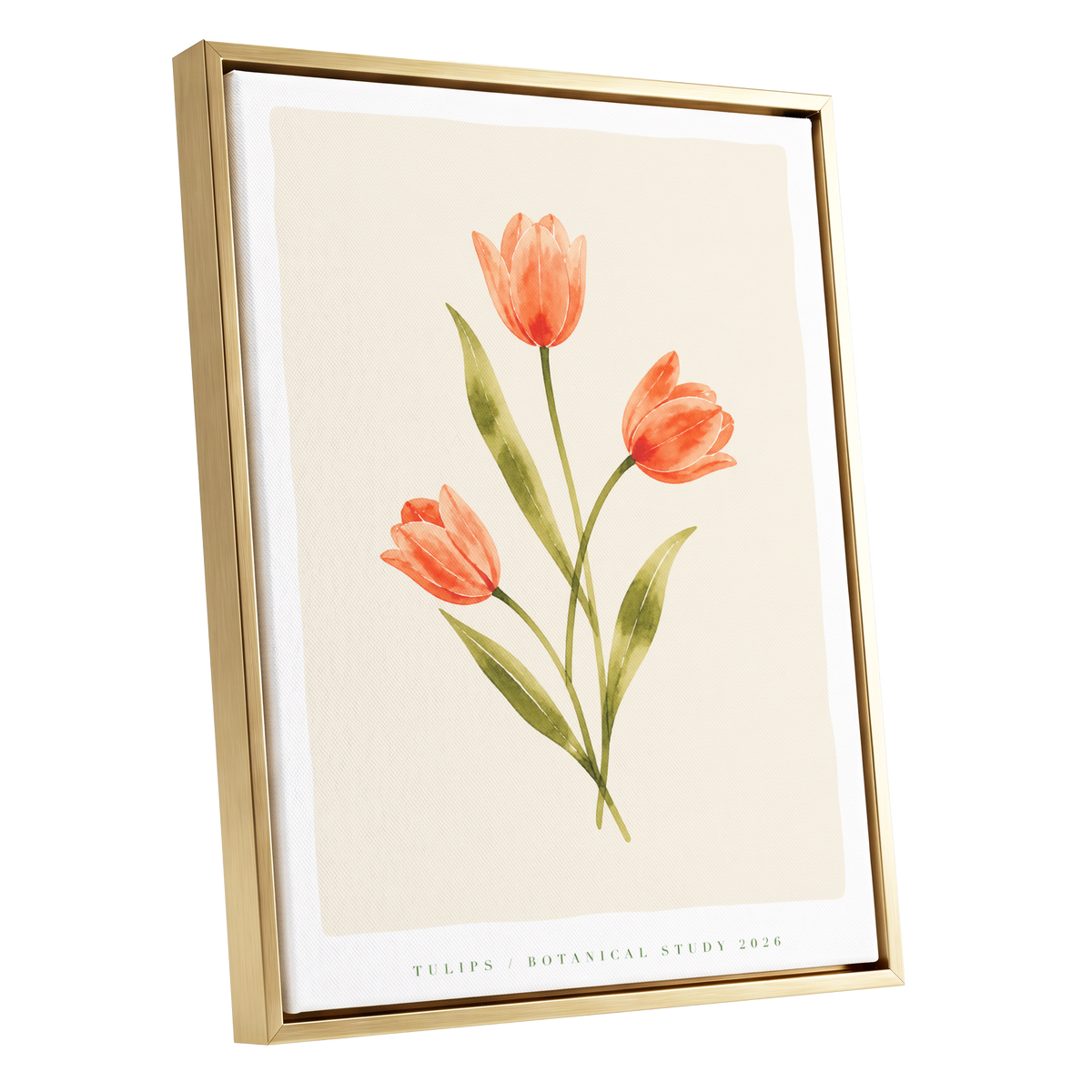 Coral Tulip Study, orange, green, beige floral wall art shown as a gold framed canvas wall art