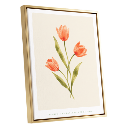 Coral Tulip Study, orange, green, beige floral wall art shown as a gold framed canvas wall art