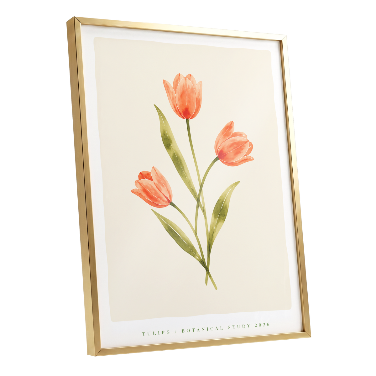 Coral Tulip Study, orange, green, beige floral wall art shown as a gold framed poster wall art print