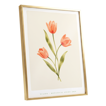 Coral Tulip Study, orange, green, beige floral wall art shown as a gold framed poster wall art print