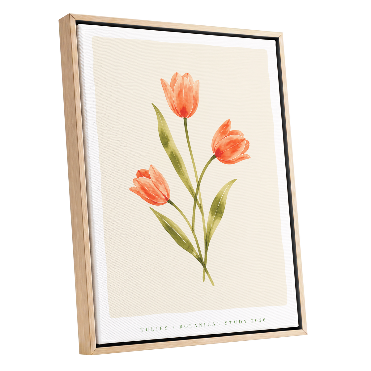 Coral Tulip Study, orange, green, beige floral wall art shown as a oak framed canvas wall art