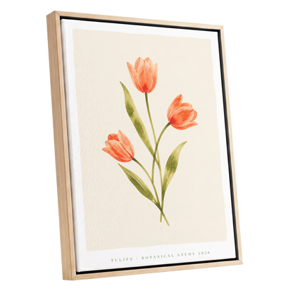 Coral Tulip Study, orange, green, beige floral wall art shown as a oak framed canvas wall art