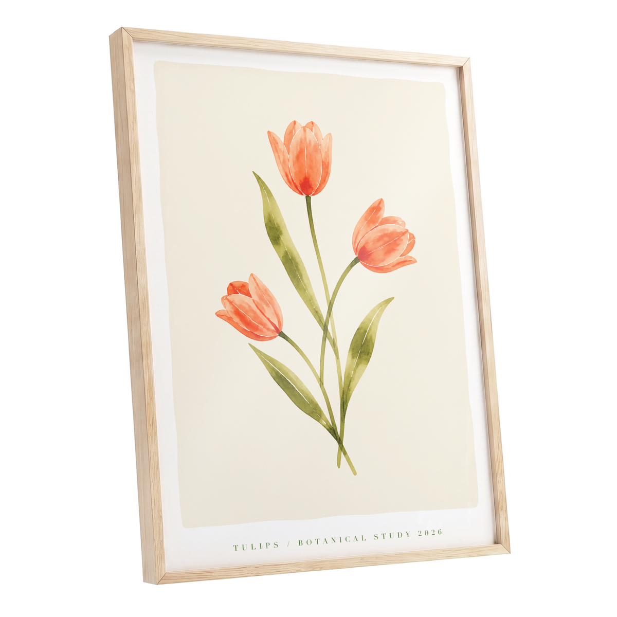 Coral Tulip Study, orange, green, beige floral wall art shown as a oak framed poster wall art print