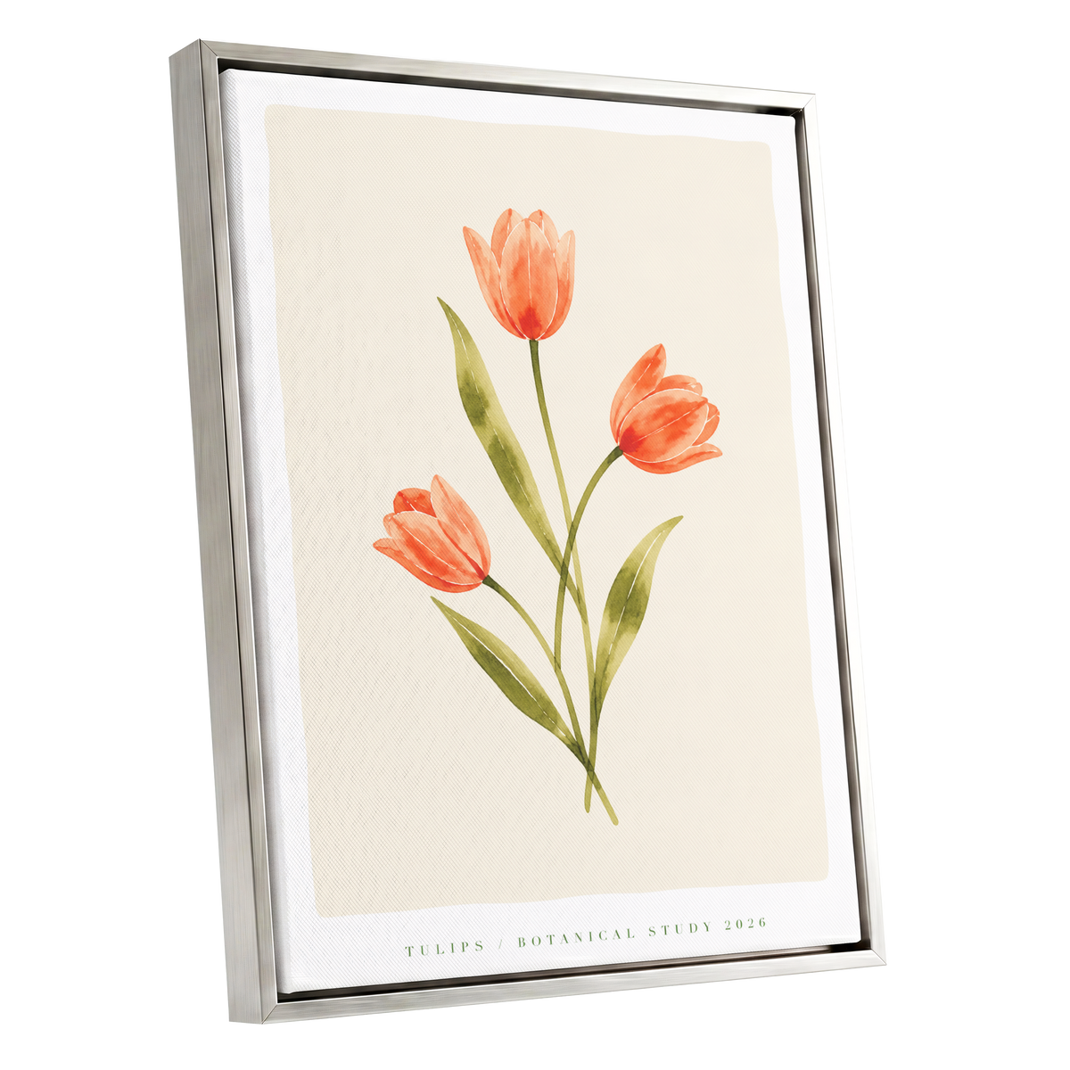 Coral Tulip Study, orange, green, beige floral wall art shown as a silver framed canvas wall art