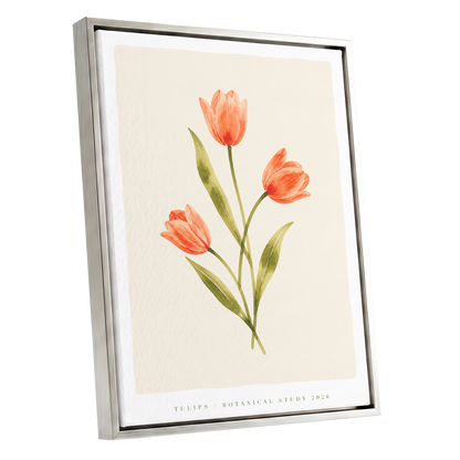Coral Tulip Study, orange, green, beige floral wall art shown as a silver framed canvas wall art