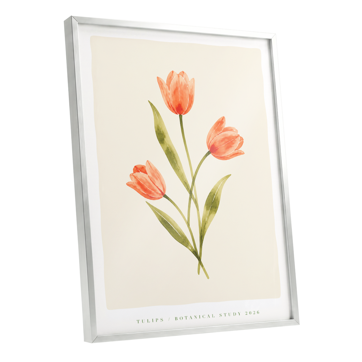 Coral Tulip Study, orange, green, beige floral wall art shown as a silver framed poster wall art print