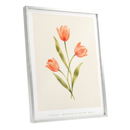 Coral Tulip Study, orange, green, beige floral wall art shown as a silver framed poster wall art print