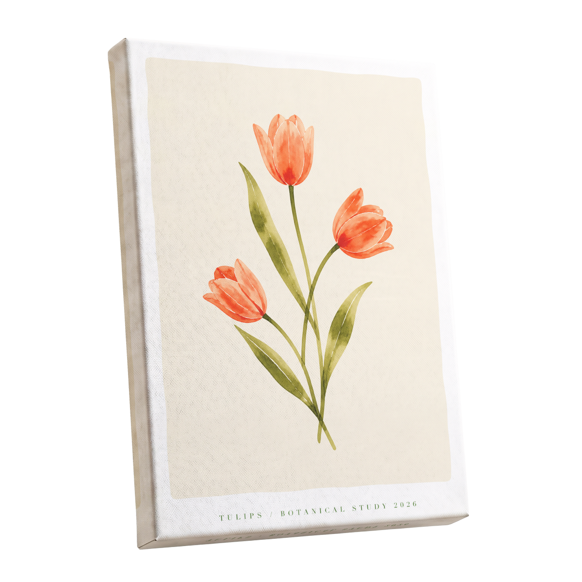 Coral Tulip Study, orange, green, beige floral wall art shown as a stretched canvas wall art