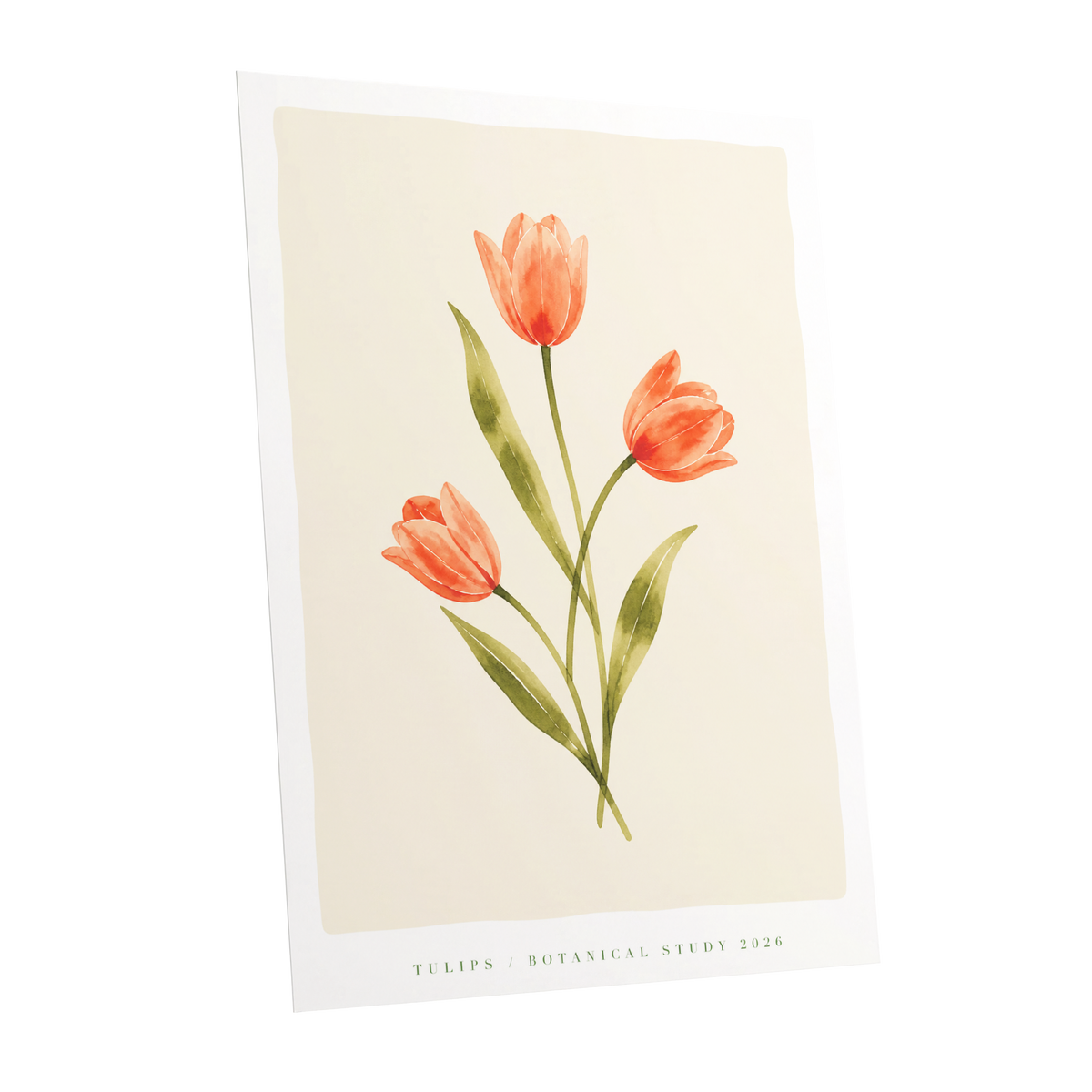 Coral Tulip Study, orange, green, beige floral wall art shown as a unframed poster wall art print