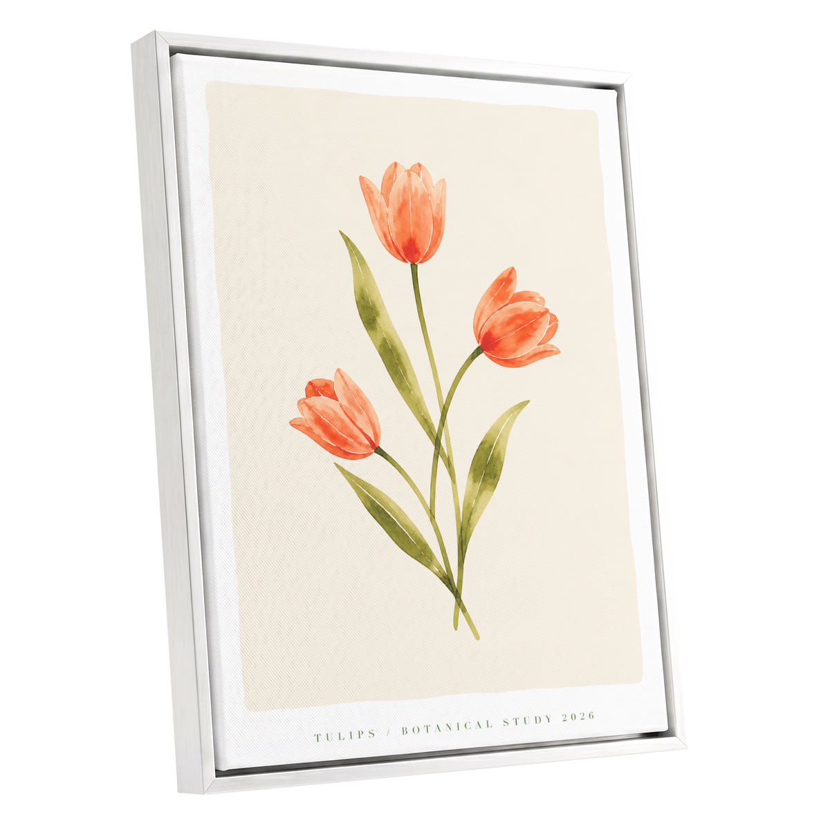 Coral Tulip Study, orange, green, beige floral wall art shown as a white framed canvas wall art
