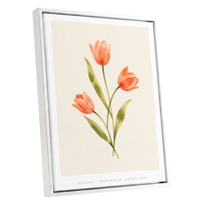 Coral Tulip Study, orange, green, beige floral wall art shown as a white framed canvas wall art