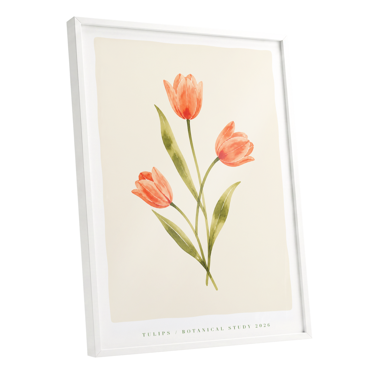 Coral Tulip Study, orange, green, beige floral wall art shown as a white framed poster wall art print