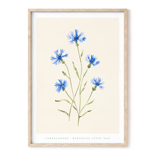 Cornflower Reverie, blue, green, beige floral wall art, front artwork view