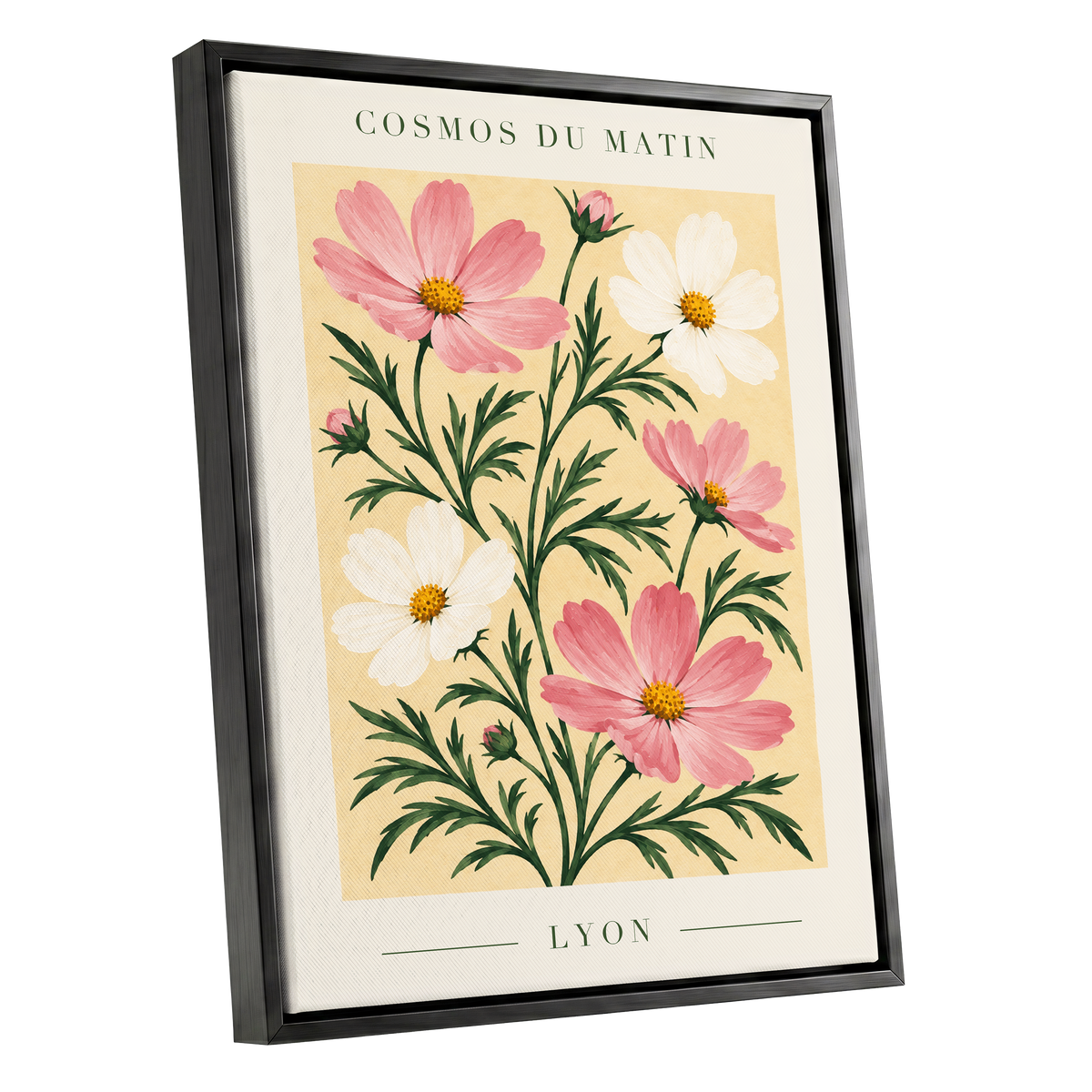 Cosmos at First Light, pink, white, green floral wall art shown as a black framed canvas wall art