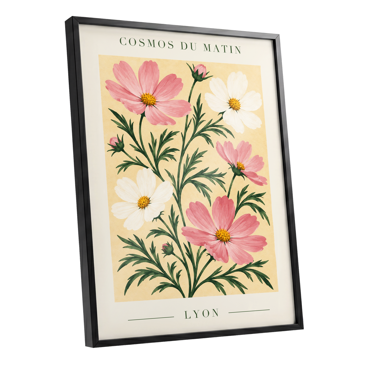 Cosmos at First Light, pink, white, green floral wall art shown as a black framed poster wall art print