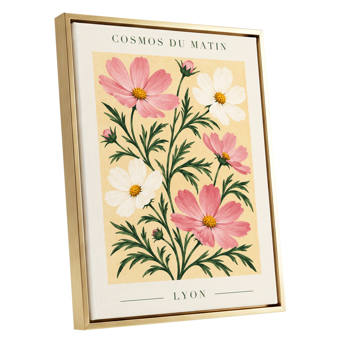 Cosmos at First Light, pink, white, green floral wall art shown as a gold framed canvas wall art