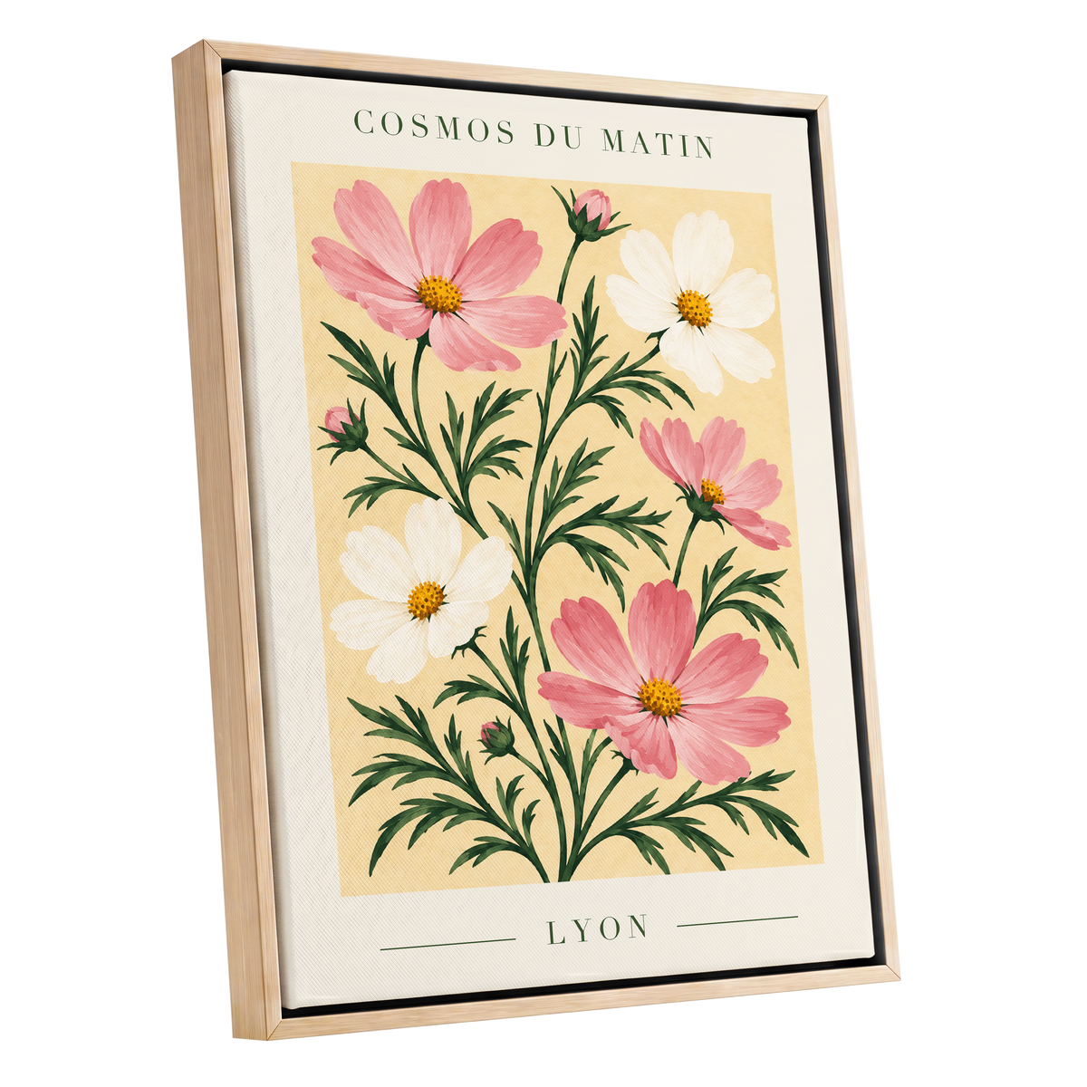 Cosmos at First Light, pink, white, green floral wall art shown as a oak framed canvas wall art