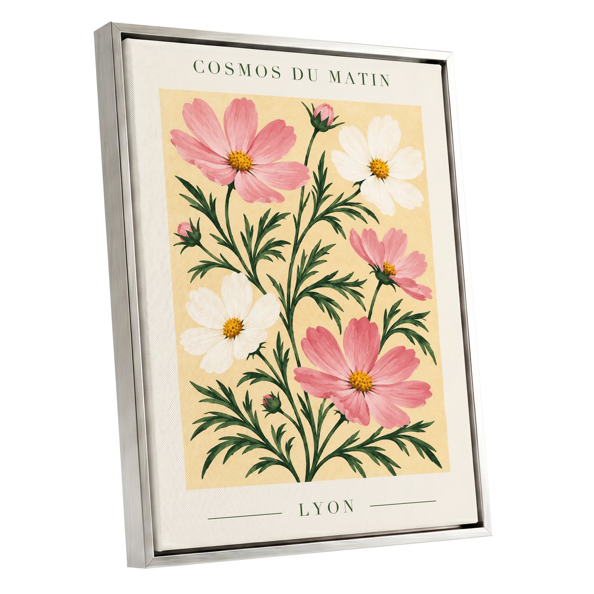 Cosmos at First Light, pink, white, green floral wall art shown as a silver framed canvas wall art