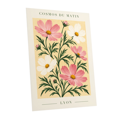 Cosmos at First Light, pink, white, green floral wall art shown as a unframed poster wall art print