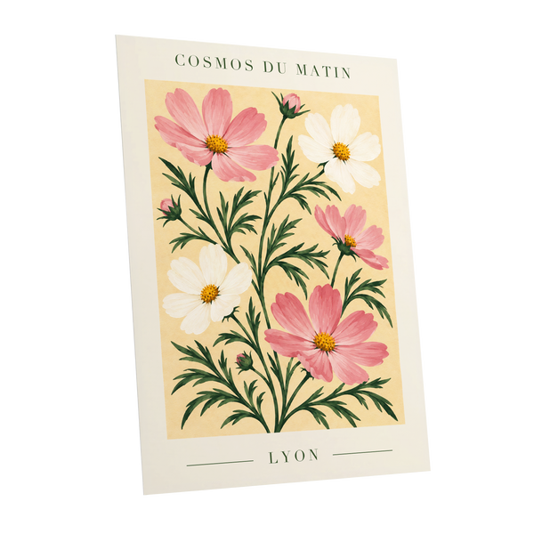 Cosmos at First Light, pink, white, green floral wall art shown as a unframed poster wall art print