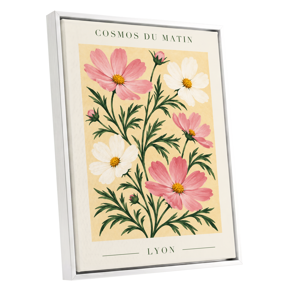 Cosmos at First Light, pink, white, green floral wall art shown as a white framed canvas wall art