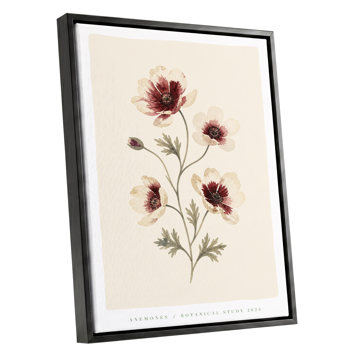 Crimson Anemone Study, beige, red, green floral wall art shown as a black framed canvas wall art