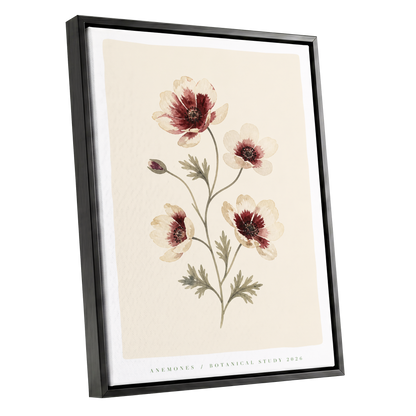 Crimson Anemone Study, beige, red, green floral wall art shown as a black framed canvas wall art