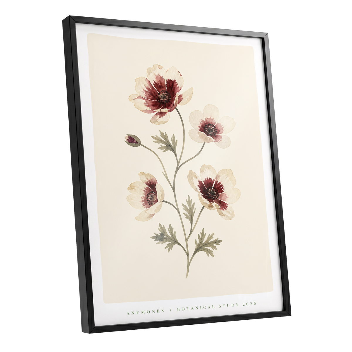 Crimson Anemone Study, beige, red, green floral wall art shown as a black framed poster wall art print