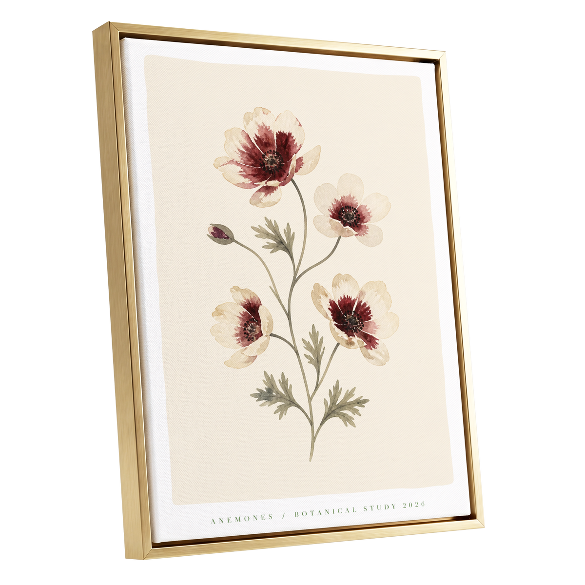 Crimson Anemone Study, beige, red, green floral wall art shown as a gold framed canvas wall art