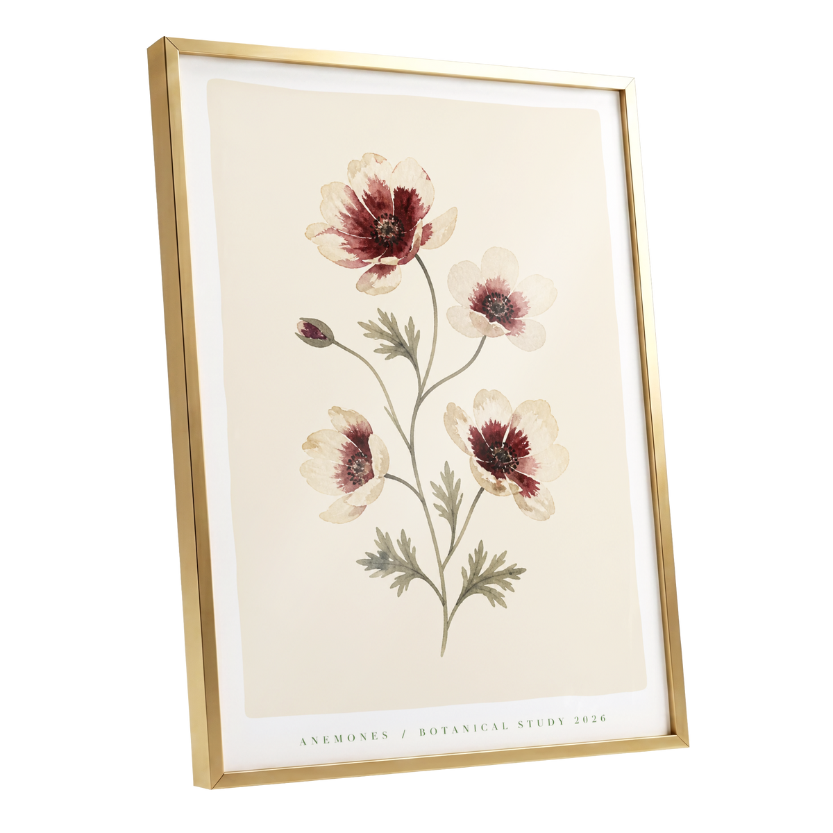 Crimson Anemone Study, beige, red, green floral wall art shown as a gold framed poster wall art print