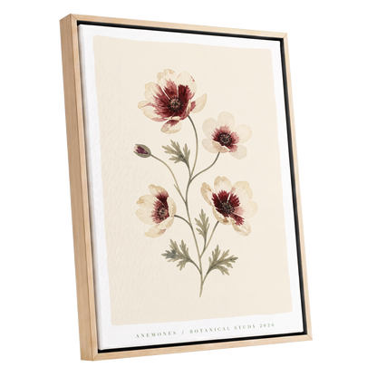 Crimson Anemone Study, beige, red, green floral wall art shown as a oak framed canvas wall art