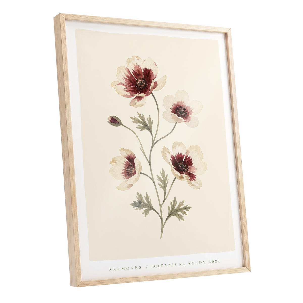 Crimson Anemone Study, beige, red, green floral wall art shown as a oak framed poster wall art print