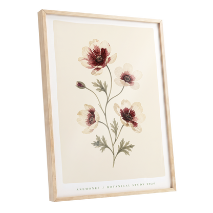 Crimson Anemone Study, beige, red, green floral wall art shown as a oak framed poster wall art print