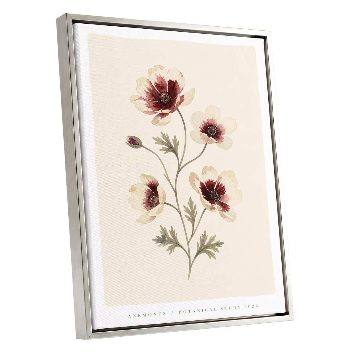 Crimson Anemone Study, beige, red, green floral wall art shown as a silver framed canvas wall art