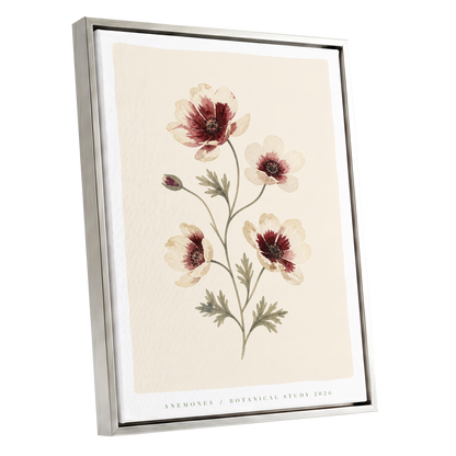 Crimson Anemone Study, beige, red, green floral wall art shown as a silver framed canvas wall art