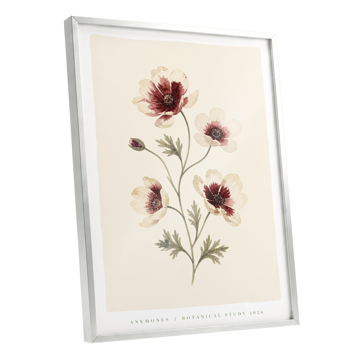 Crimson Anemone Study, beige, red, green floral wall art shown as a silver framed poster wall art print