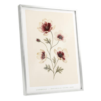 Crimson Anemone Study, beige, red, green floral wall art shown as a silver framed poster wall art print
