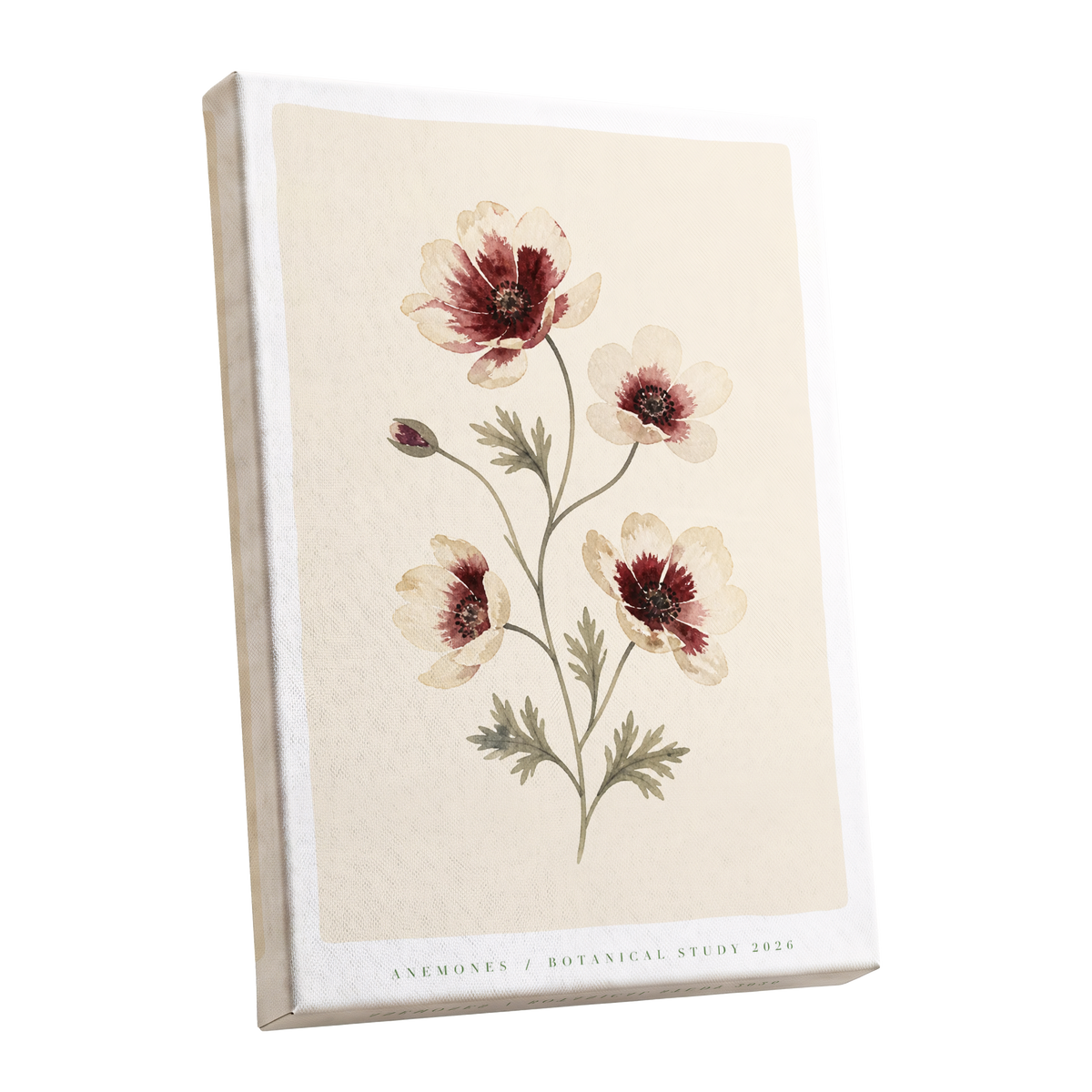 Crimson Anemone Study, beige, red, green floral wall art shown as a stretched canvas wall art