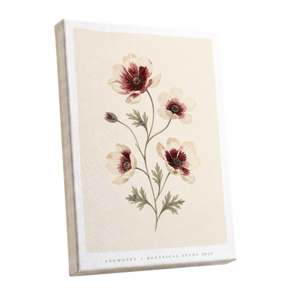 Crimson Anemone Study, beige, red, green floral wall art shown as a stretched canvas wall art